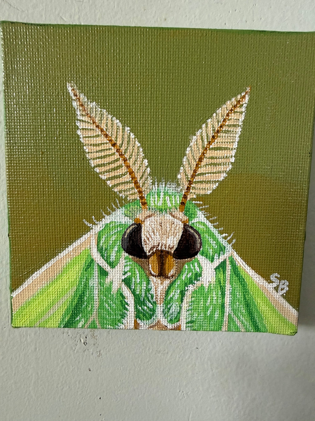 Lunara/ Luna Moth Portrait | Original 4x4" Acrylic Painting