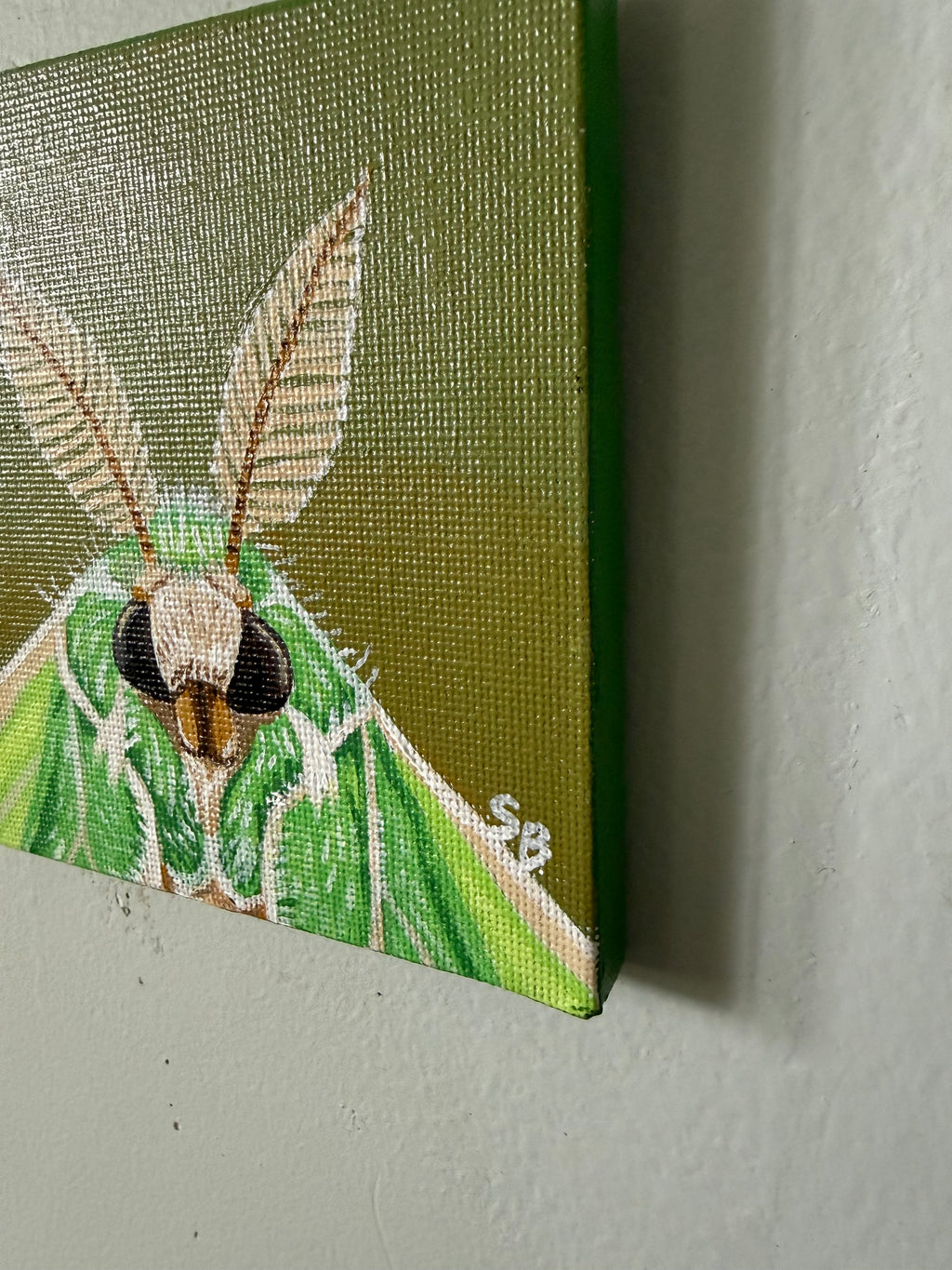 Lunara/ Luna Moth Portrait | Original 4x4" Acrylic Painting