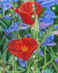 Poppy Persuasion| Original 9.5x12"  Oil Pastel Painting