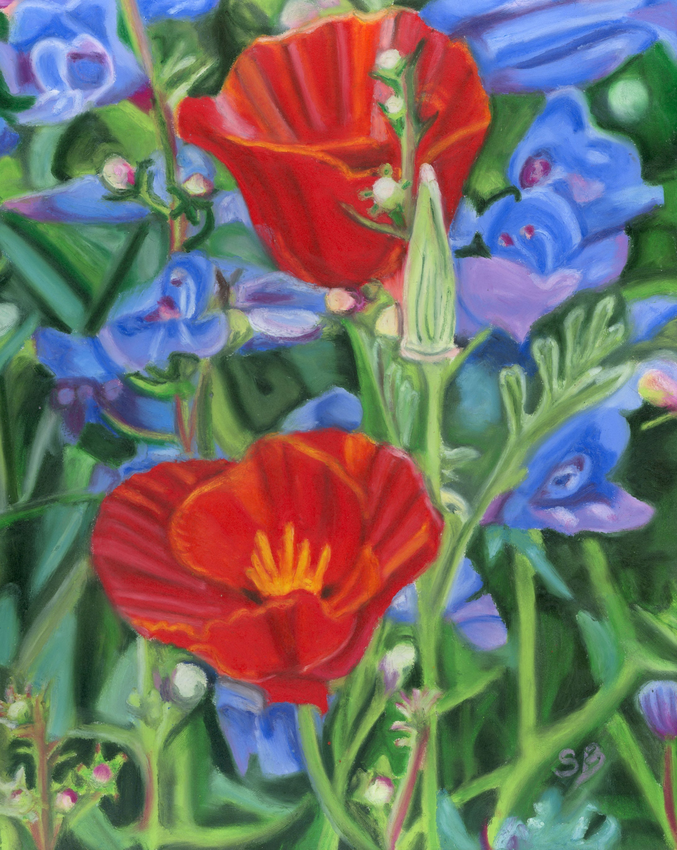 Poppy Persuasion| Original 9.5x12"  Oil Pastel Painting