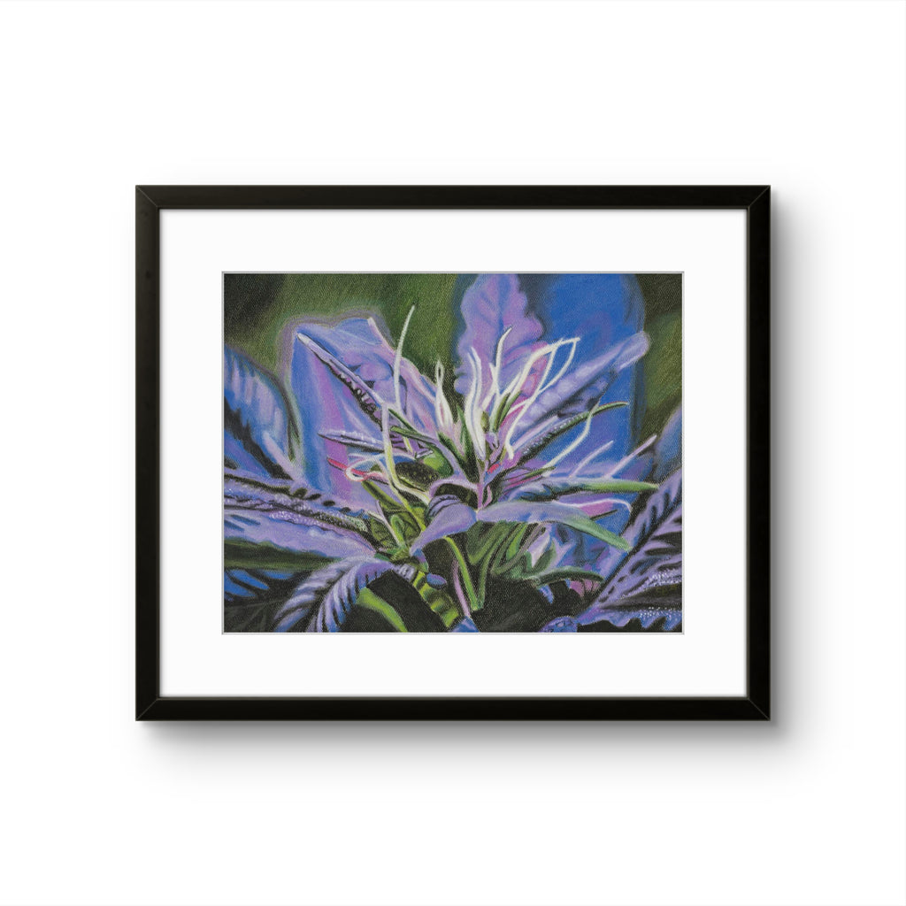 Lavender Kush | Original 11x14" Soft Pastel Painting